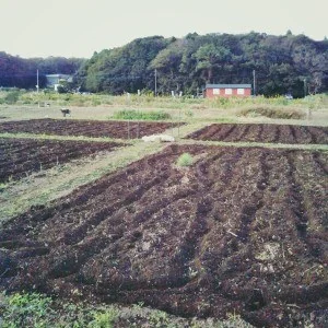 新規一転、総入れ替え! 2016 10/25