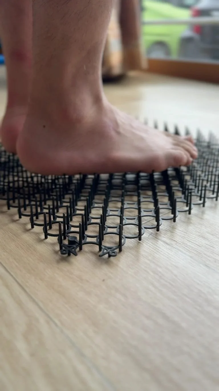 ダイソー猫よけマットとシャクティマットの比較