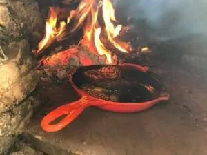 結局親子20名程で秋の魅惑食材祭に!! 2016 11/5